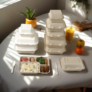 Bagasse Food Container